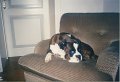 1996-04-07 - Rocco in poltrona